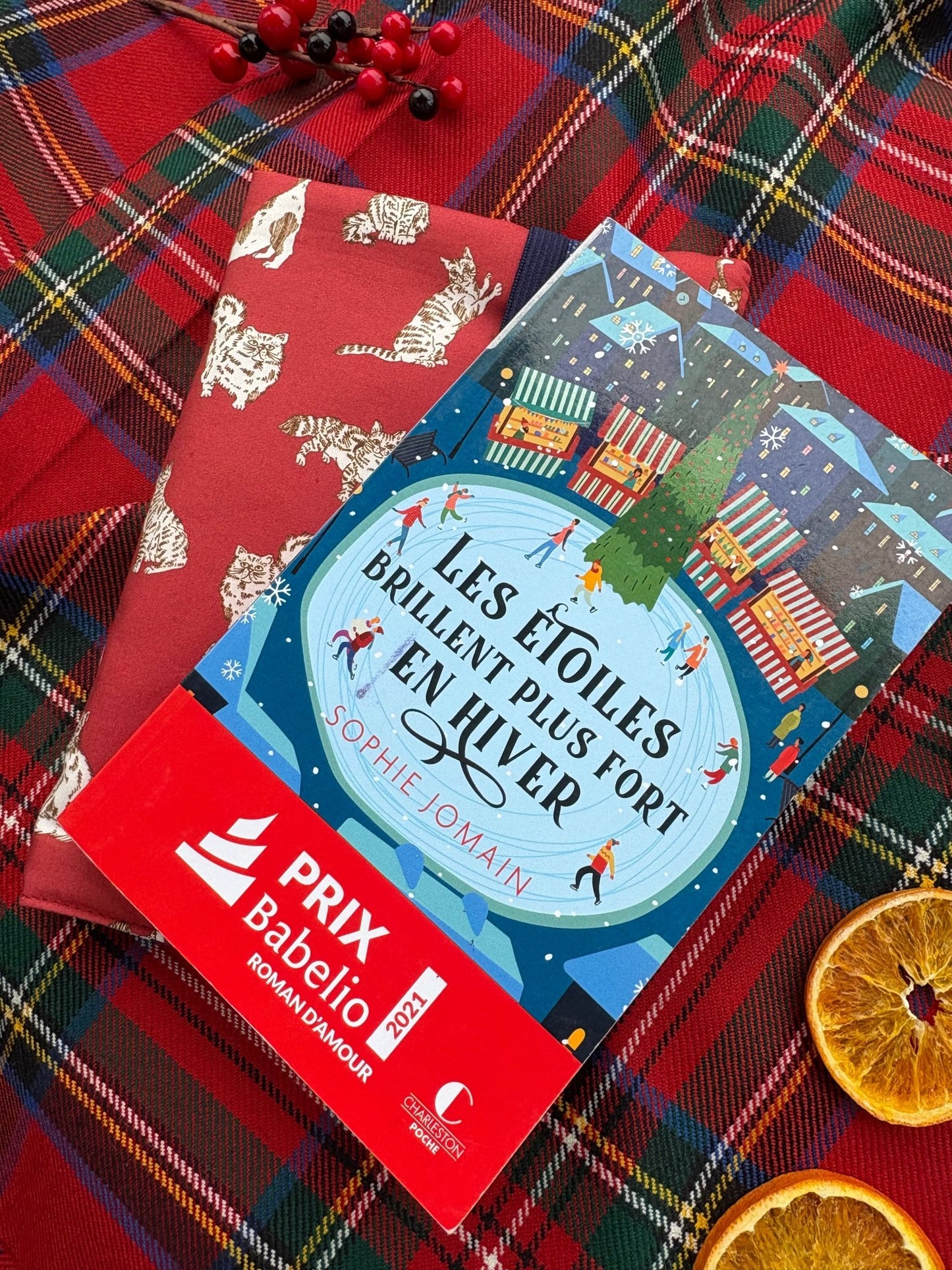 Couvre - livre de poche adaptable Edgard - Gilbertine BrusselsGilbertine Brussels