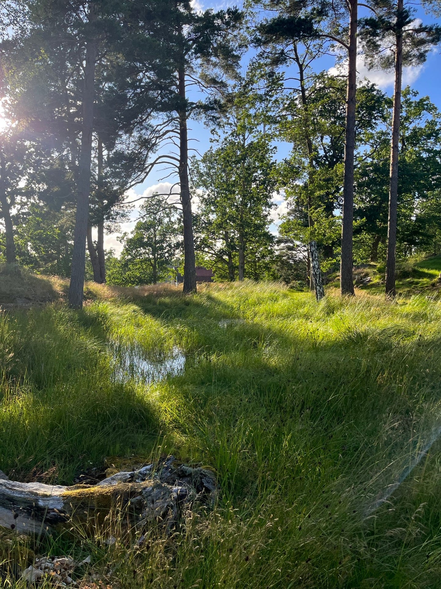 Pochette Livre de Poche Mellow Shadow - Gilbertine BrusselsGilbertine Brussels